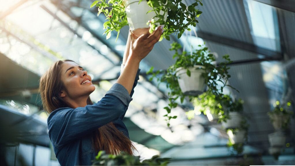 Cómo la Naturaleza Puede Inspirar el Éxito Empresarial